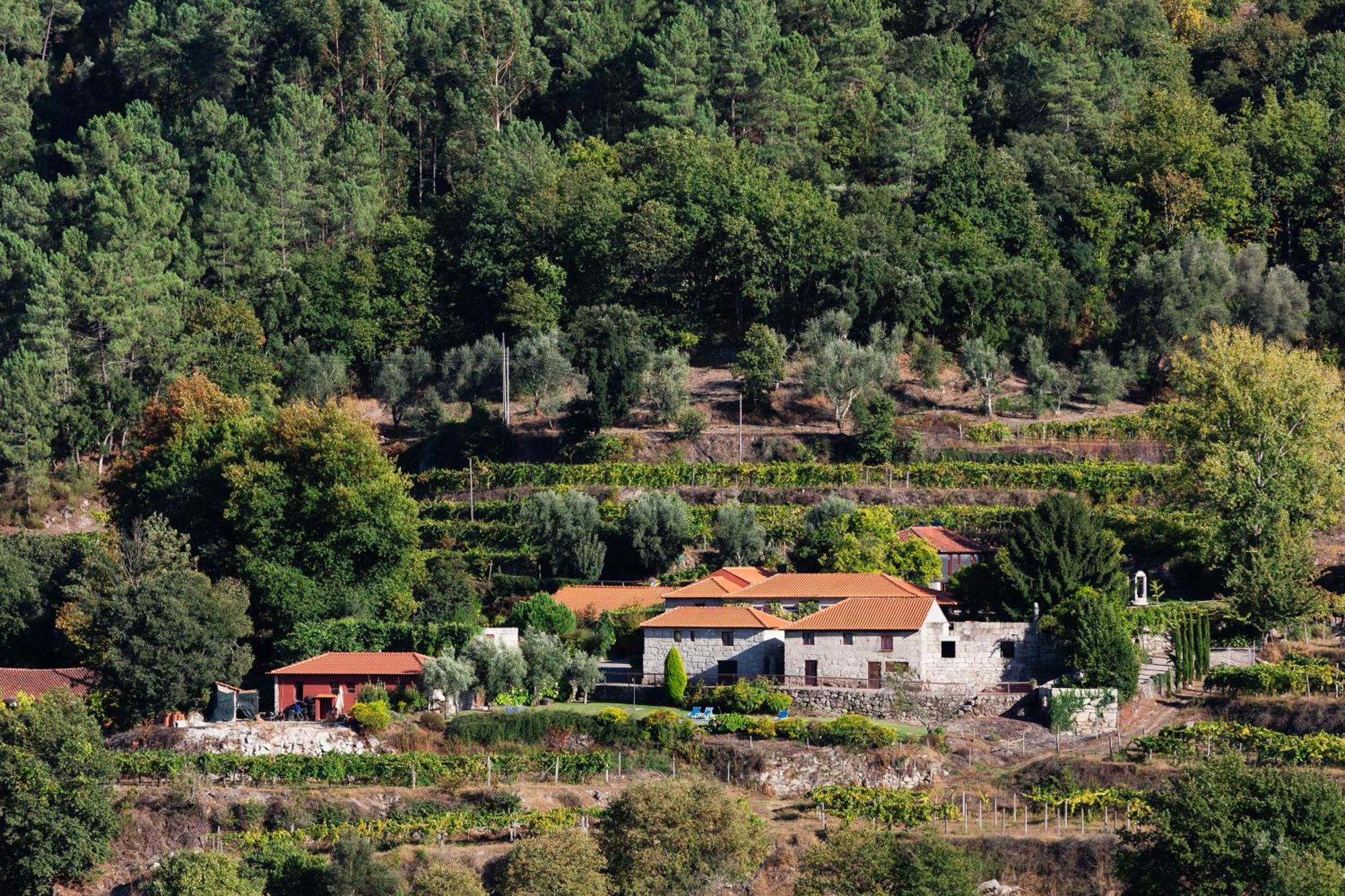 Quinta Da Pousadela - Agroturismo Guest House Амаранте Екстериор снимка