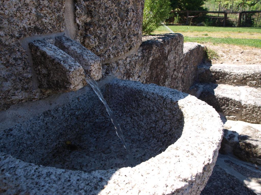 Quinta Da Pousadela - Agroturismo Амаранте Екстериор снимка
