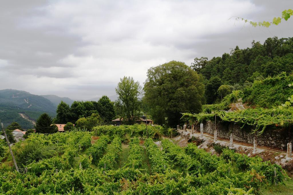 Quinta Da Pousadela - Agroturismo Амаранте Екстериор снимка